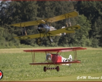TSR Watermark - 0351